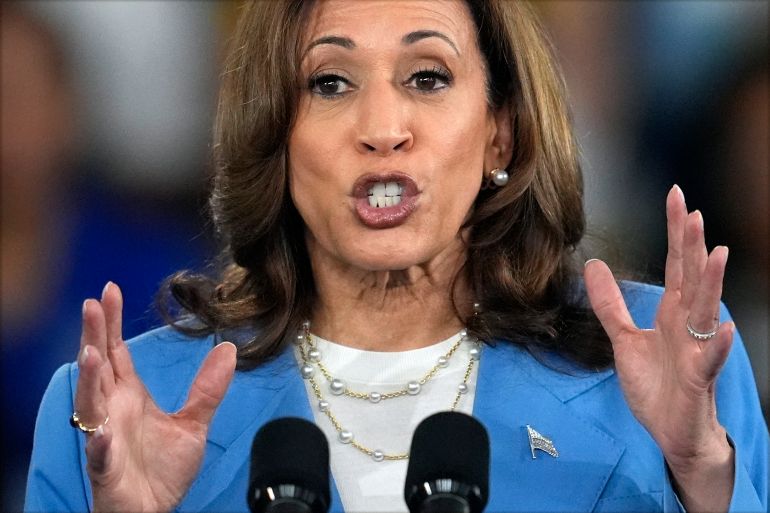 Kamala harris plan