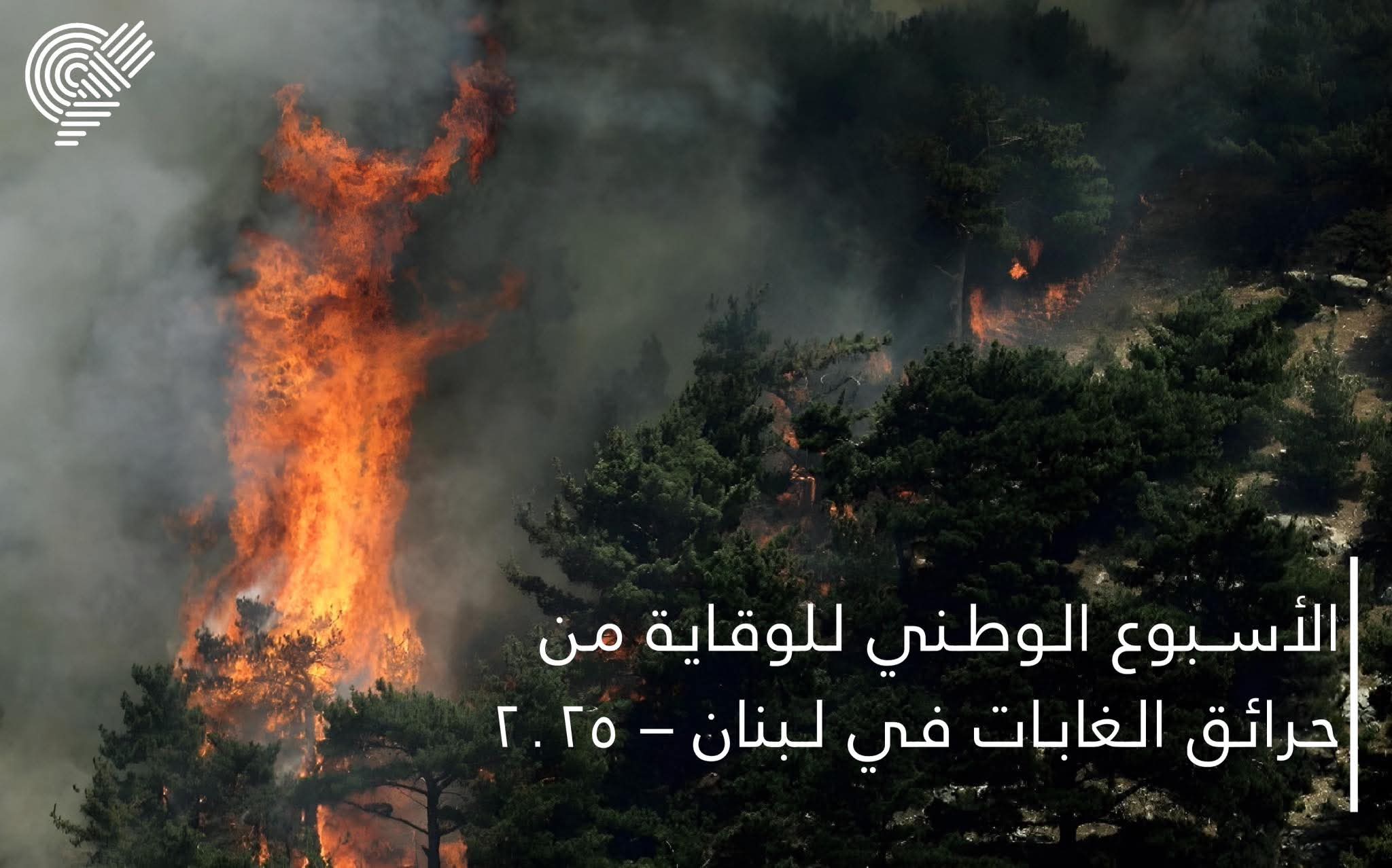 Terre liban