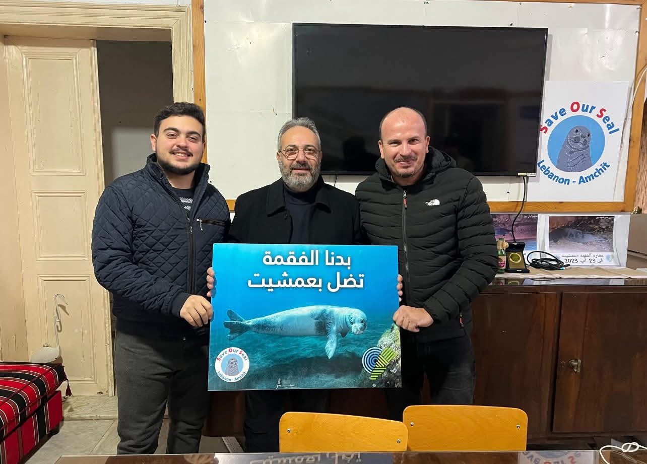 وقف أعمال بناء فوق مغارة الفقمة في عمشيت بقرار قضائي